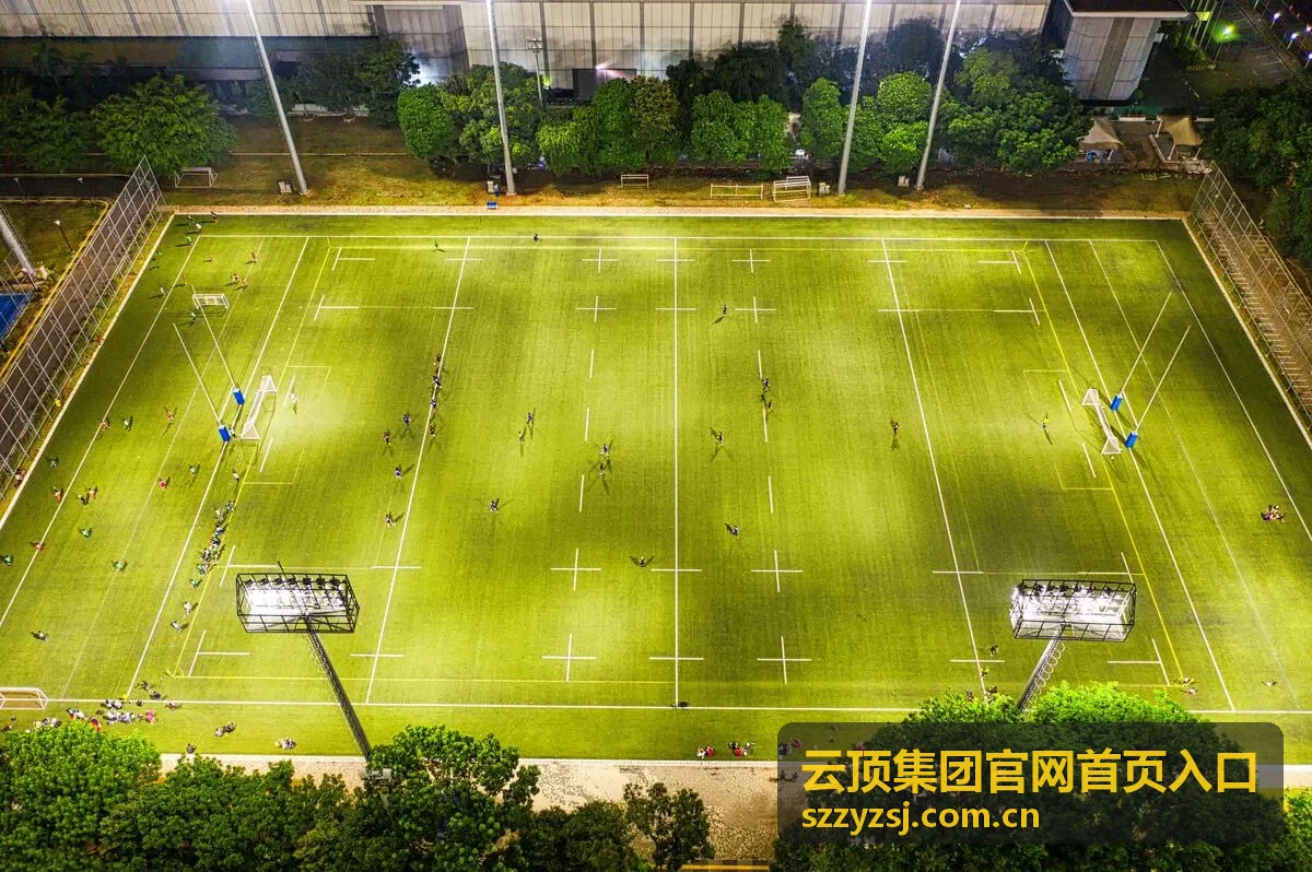 云顶集团官网首页入口 智能流程自动化平台